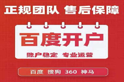 电商SEM推广案例解析
